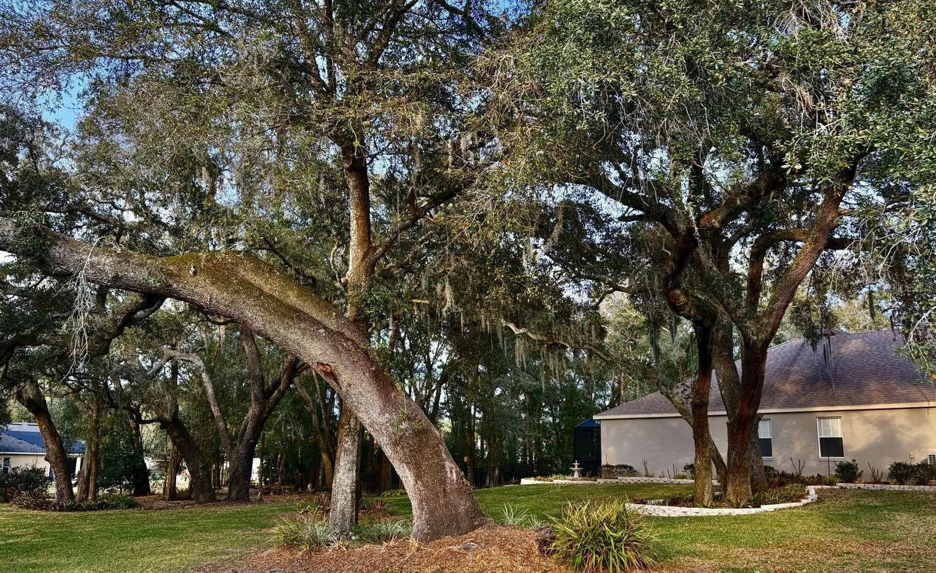 597 Sand Wedge Loop Apopka FL 32712
