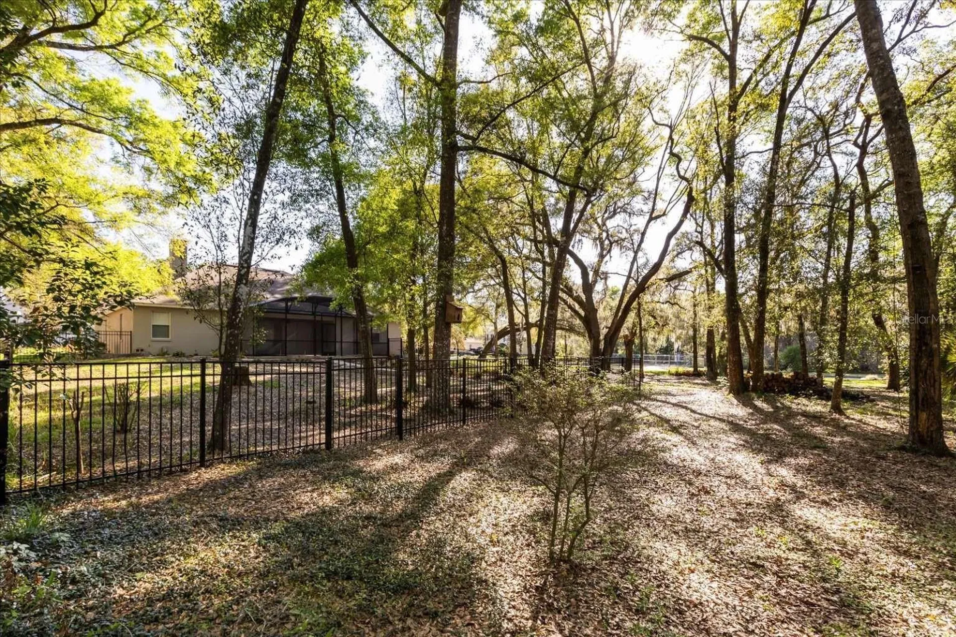 597 Sand Wedge Loop Apopka FL 32712