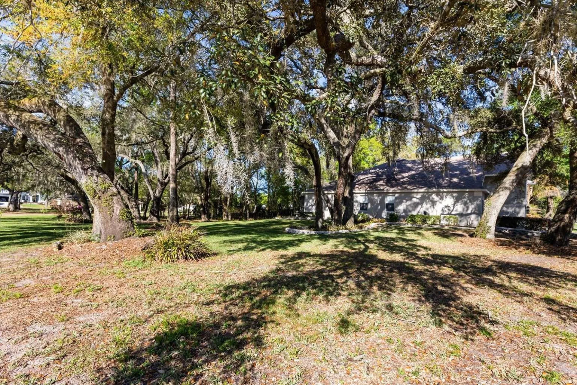 597 Sand Wedge Loop Apopka FL 32712