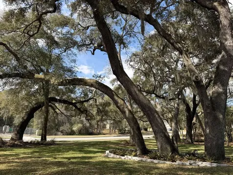 597 Sand Wedge Loop Apopka FL 32712