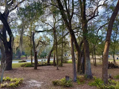 597 Sand Wedge Loop Apopka FL 32712