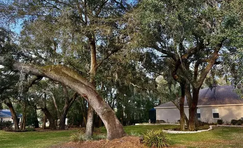 597 Sand Wedge Loop Apopka FL 32712
