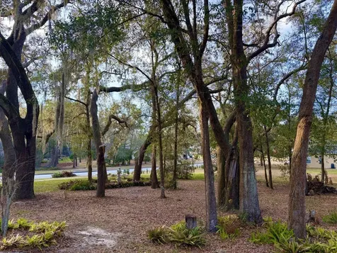 597 Sand Wedge Loop Apopka FL 32712
