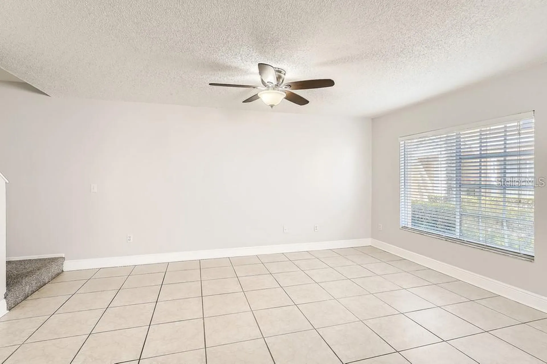 2023 Fluorshire Drive Brandon FL 33511