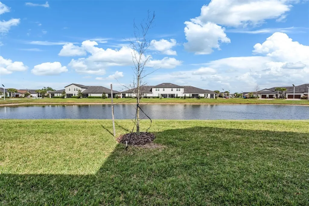 10191 Echo Dock Loop San Antonio FL 33576