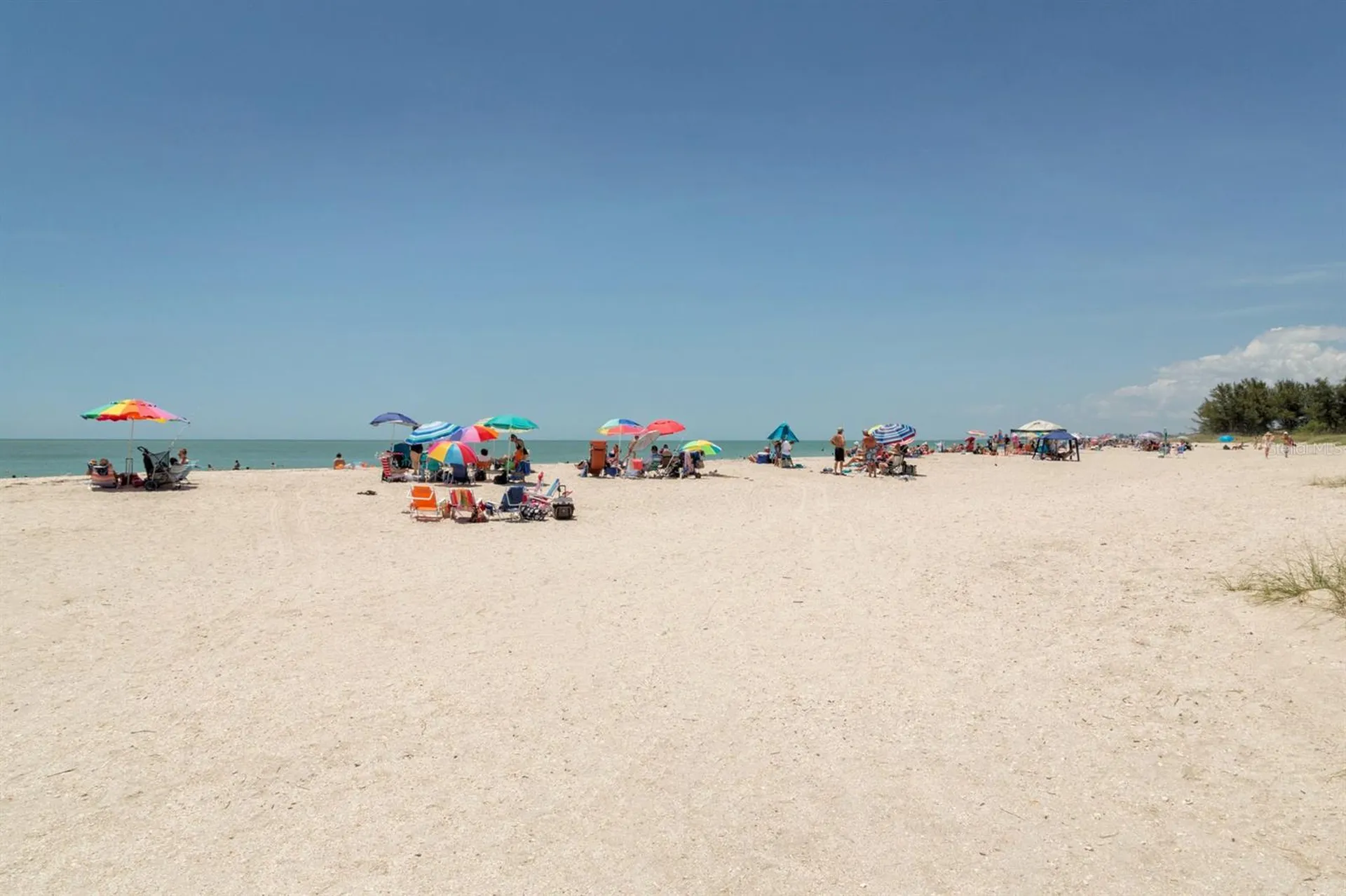 1053 Derian Place Nokomis FL 34275
