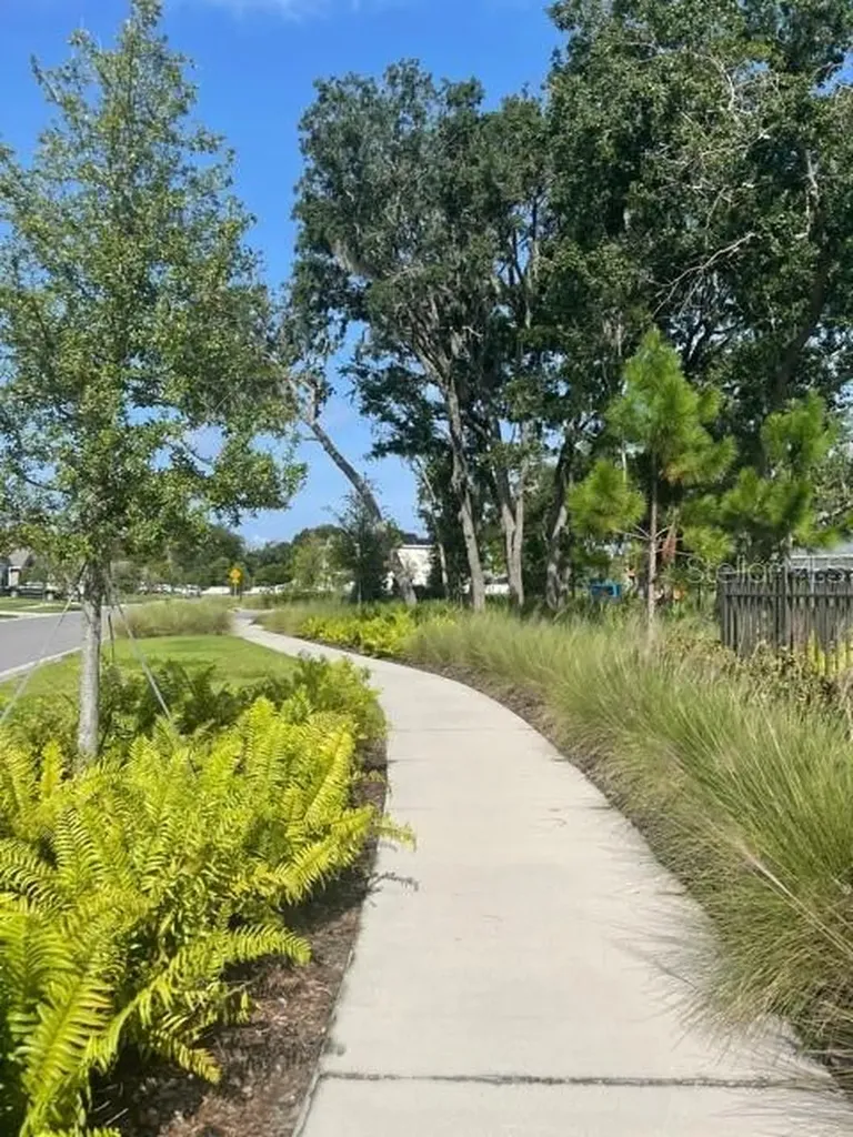 10231 Opaline Sky Court Riverview FL 33578