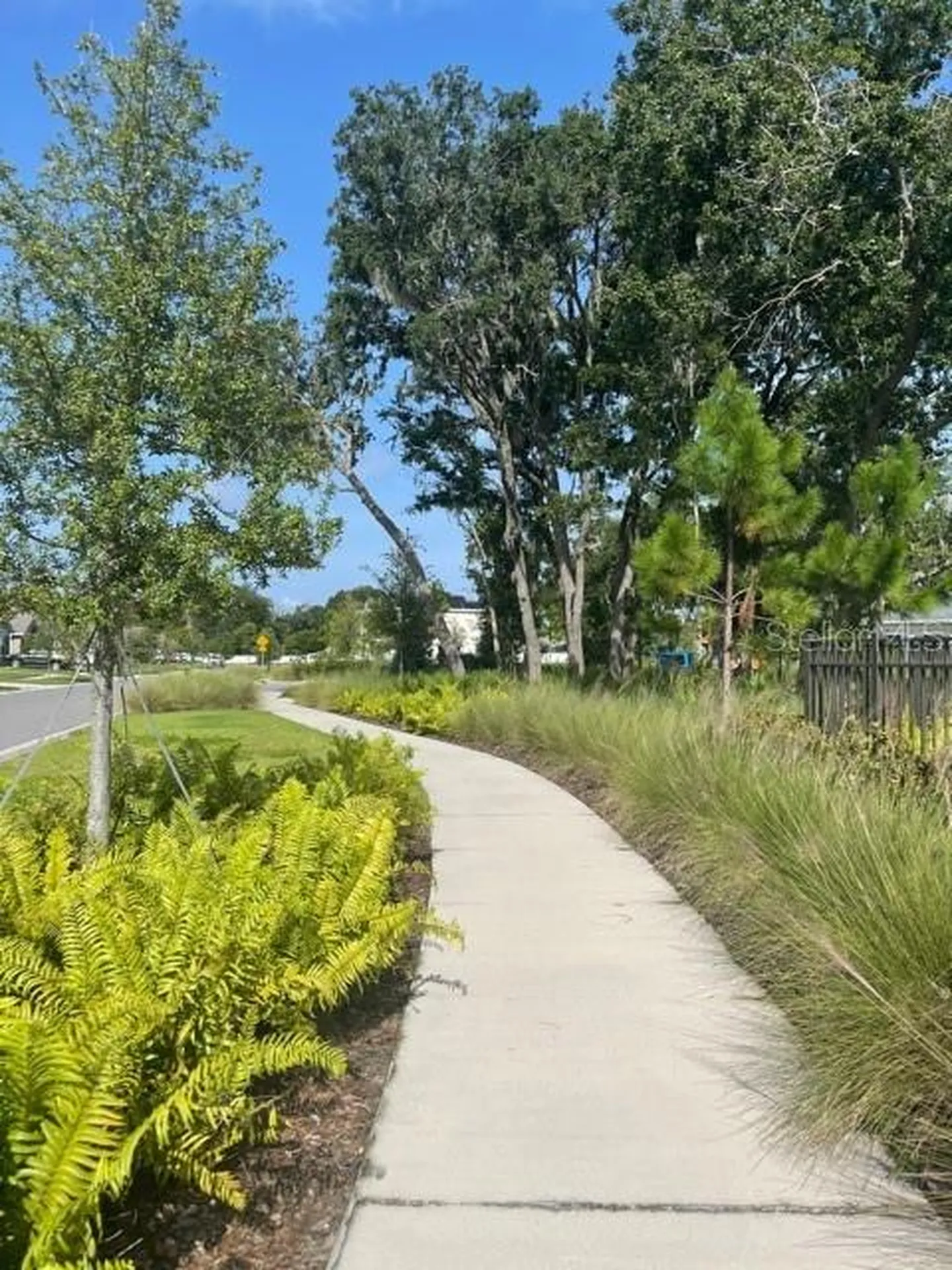 10231 Opaline Sky Court Riverview FL 33578
