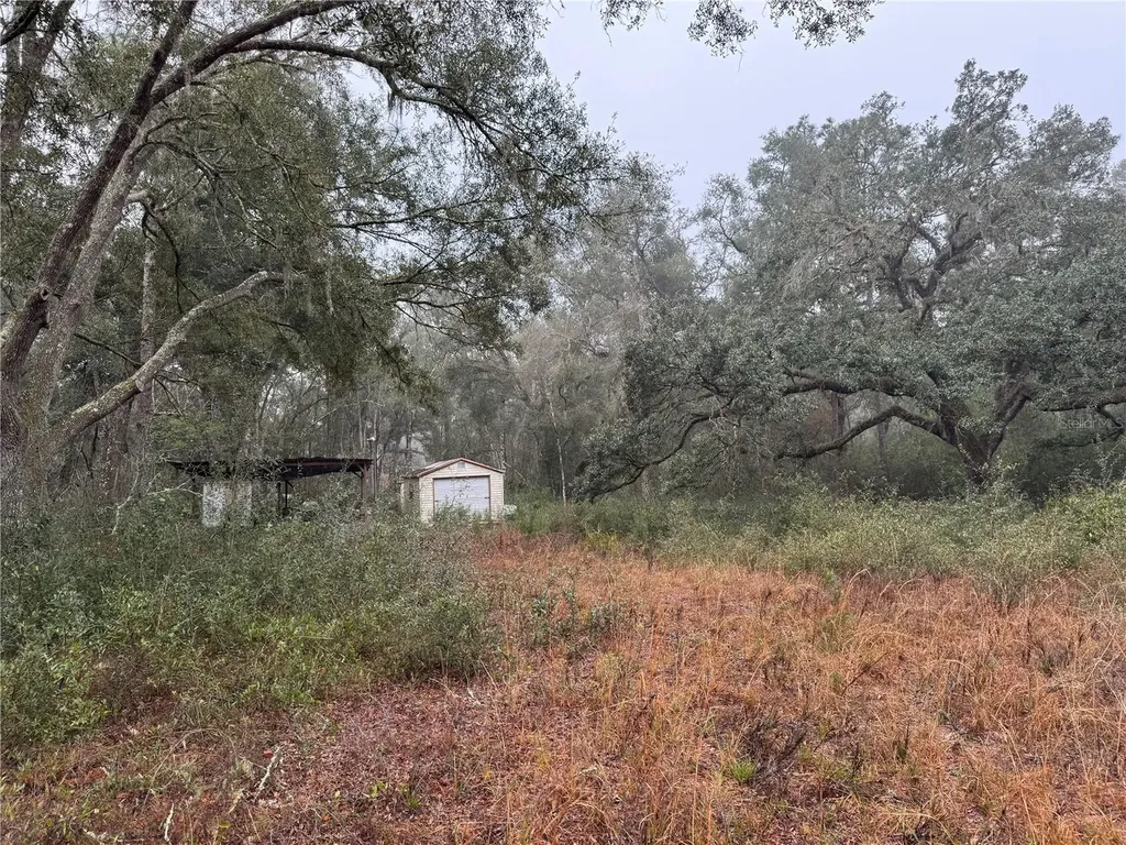 2795 SE 21st Avenue Sumterville FL 33585