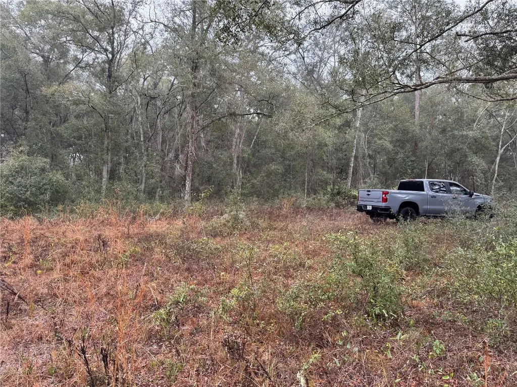 2795 SE 21st Avenue Sumterville FL 33585