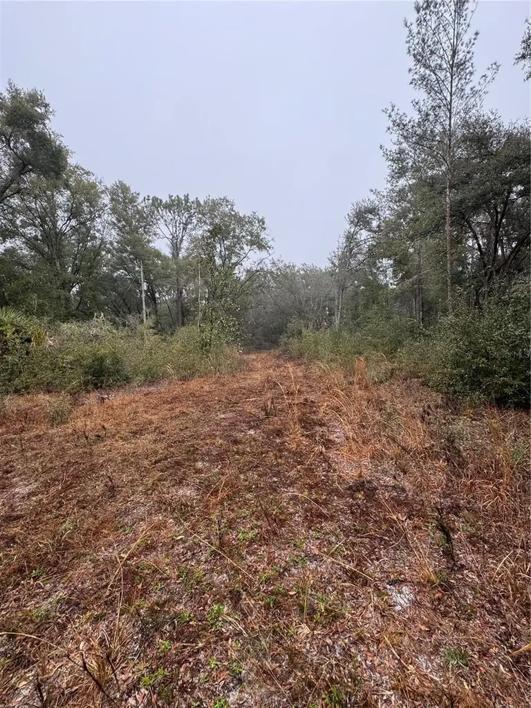 2795 SE 21st Avenue Sumterville FL 33585