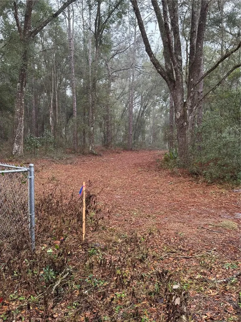 2795 SE 21st Avenue Sumterville FL 33585