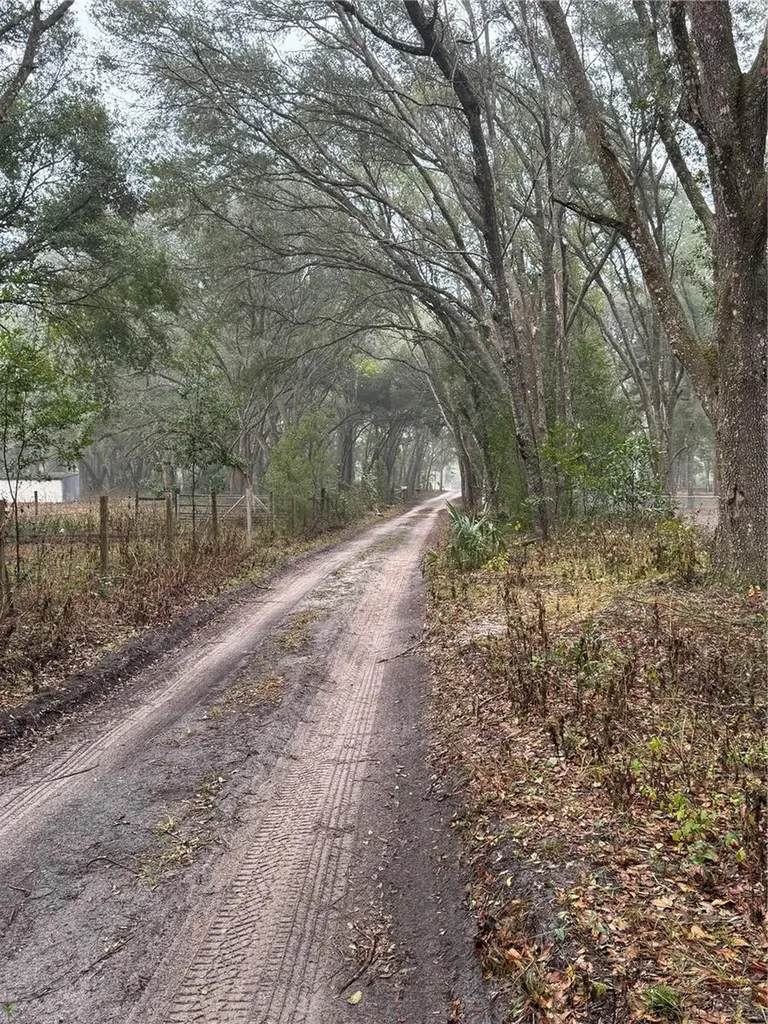 2795 SE 21st Avenue Sumterville FL 33585