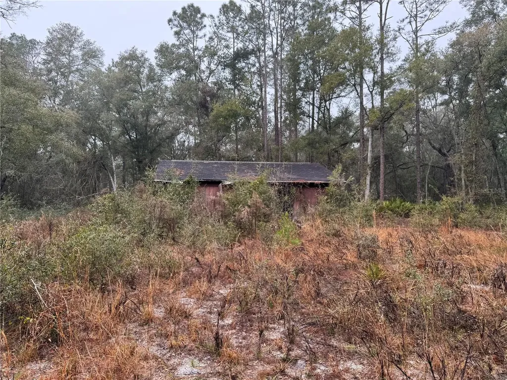 2795 SE 21st Avenue Sumterville FL 33585