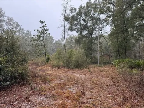 2795 SE 21st Avenue Sumterville FL 33585