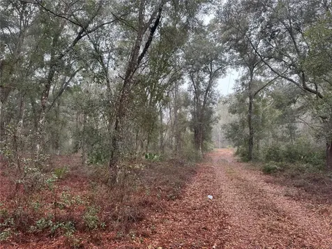 2795 SE 21st Avenue Sumterville FL 33585