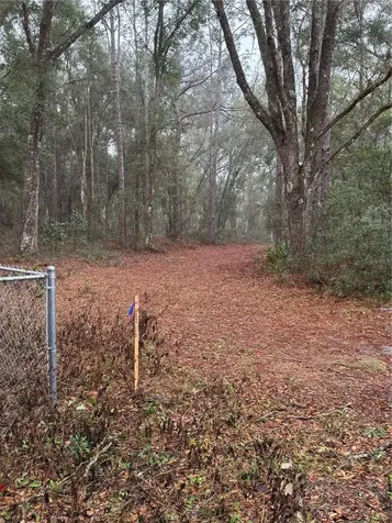 2795 SE 21st Avenue Sumterville FL 33585
