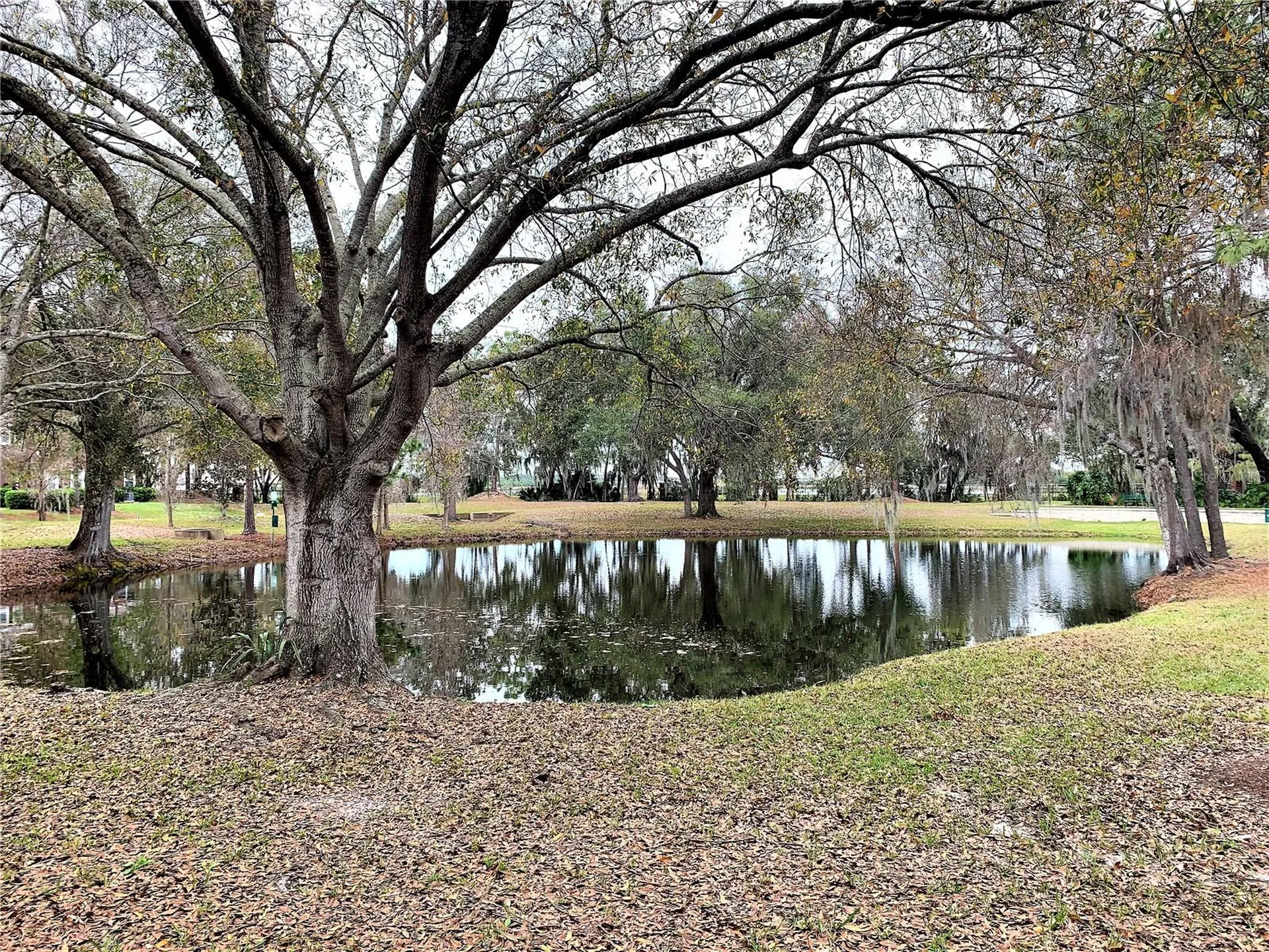 10222 River Palencia Court Riverview FL 33578