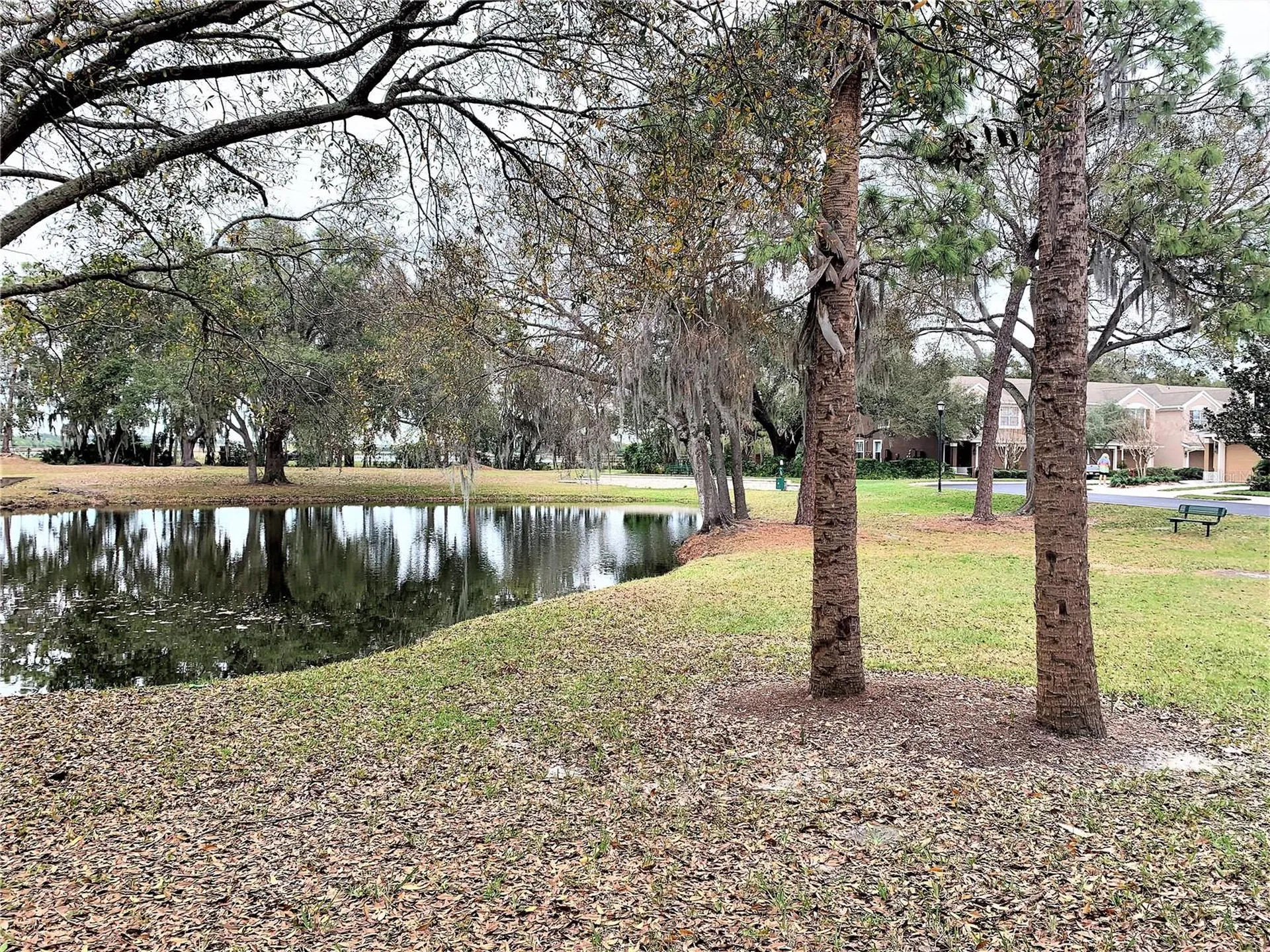 10222 River Palencia Court Riverview FL 33578
