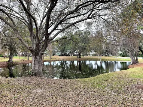 10222 River Palencia Court Riverview FL 33578
