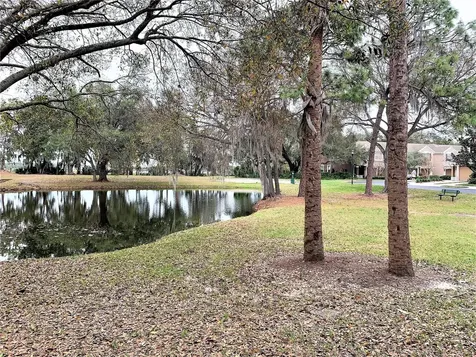 10222 River Palencia Court Riverview FL 33578