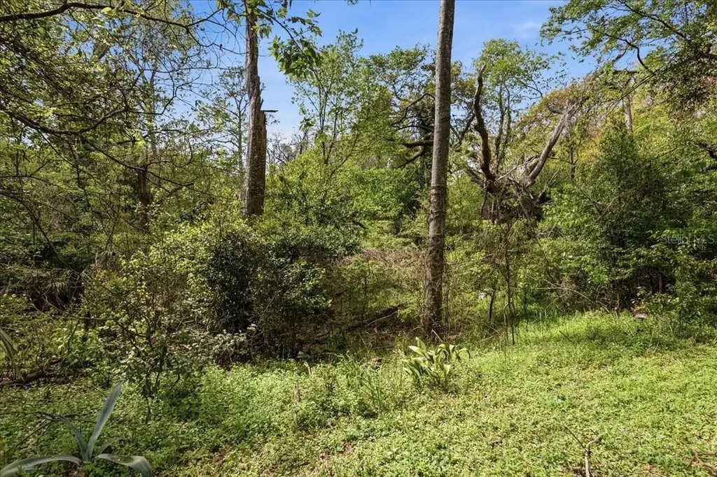 18708 NW 242nd Street High Springs FL 32643