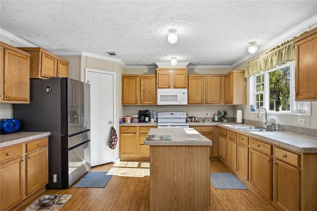 16564 NW 85th Terrace Fanning Springs FL 32693