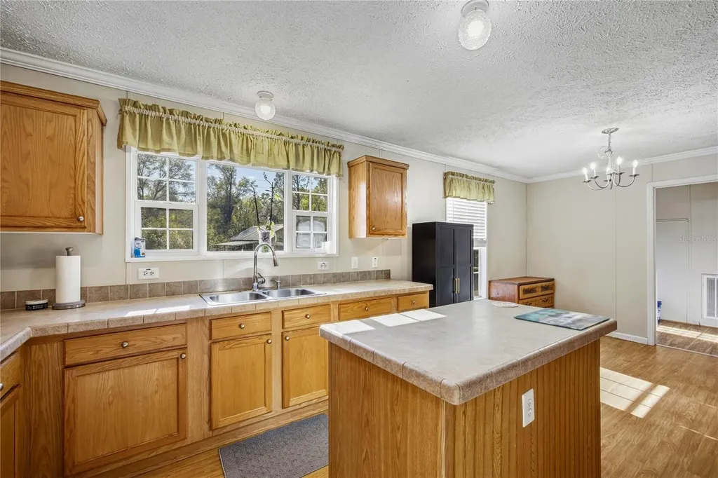 16564 NW 85th Terrace Fanning Springs FL 32693