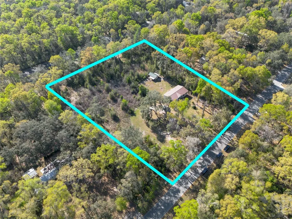 16564 NW 85th Terrace Fanning Springs FL 32693