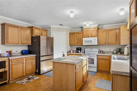 16564 NW 85th Terrace Fanning Springs FL 32693