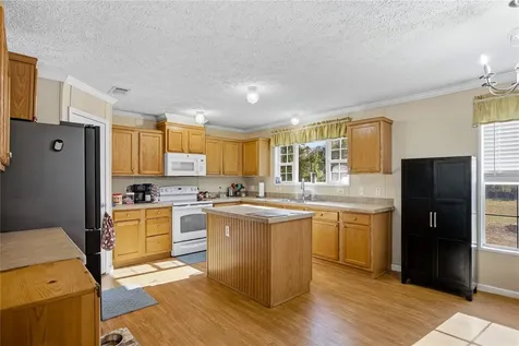 16564 NW 85th Terrace Fanning Springs FL 32693