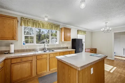 16564 NW 85th Terrace Fanning Springs FL 32693