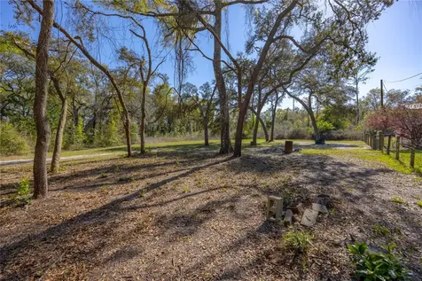 16564 NW 85th Terrace Fanning Springs FL 32693