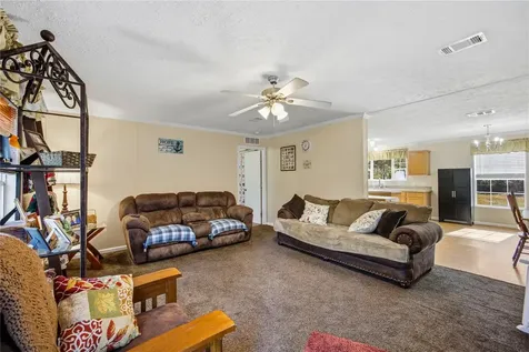 16564 NW 85th Terrace Fanning Springs FL 32693