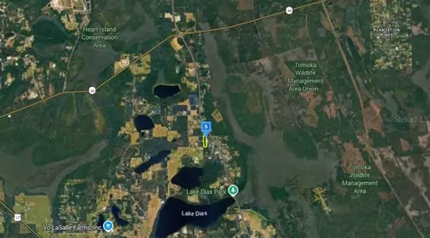 1660 Red Dog Road De Leon Springs FL 32130