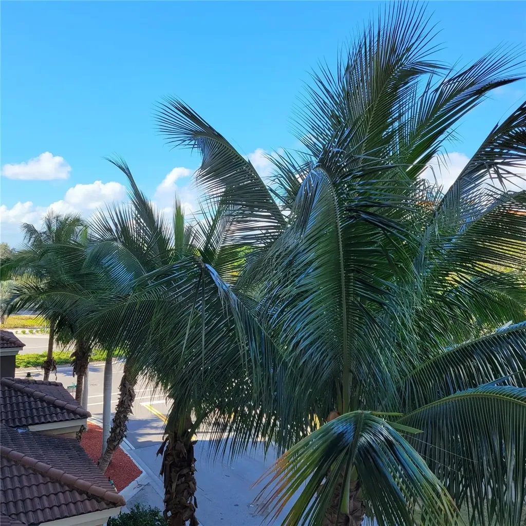 1064 N Tamiami Trail Sarasota FL 34236