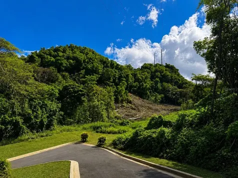 1 Pr-686 Km 1.2 Interior Manati PR 00674