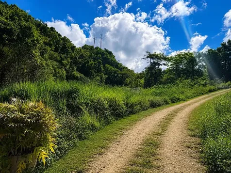 1 Pr-686 Km 1.2 Interior Manati PR 00674