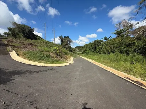 1 Pr-686 Km 1.2 Interior Manati PR 00674