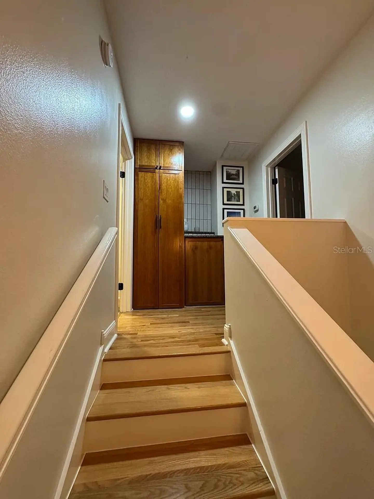 606 S Glen Avenue Tampa FL 33609