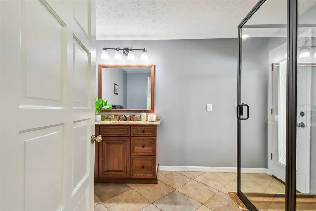 16205 Sentry Wood Court Odessa FL 33556