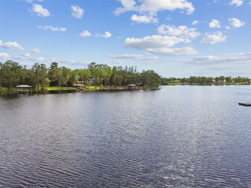 16205 Sentry Wood Court Odessa FL 33556