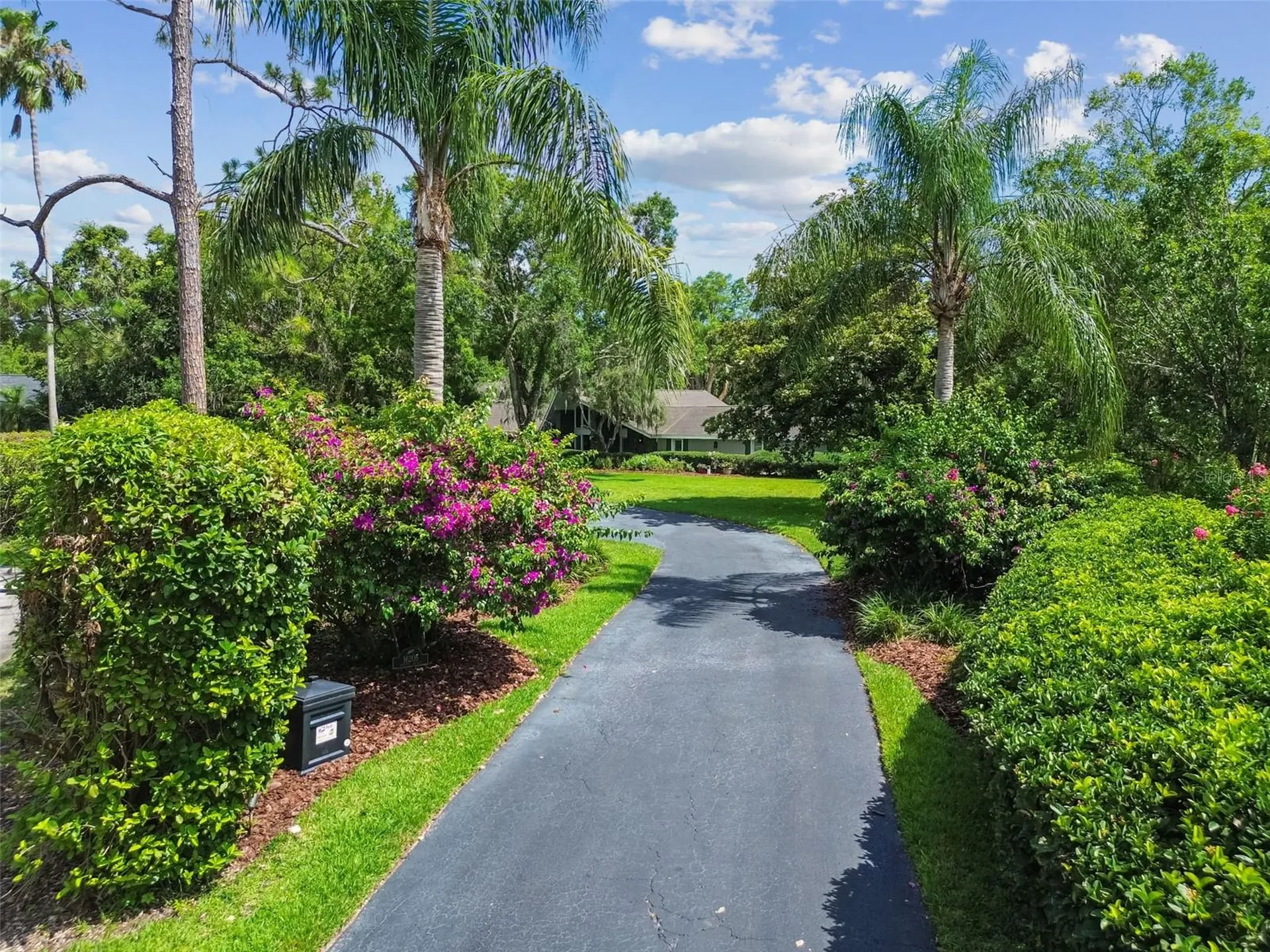 16205 Sentry Wood Court Odessa FL 33556