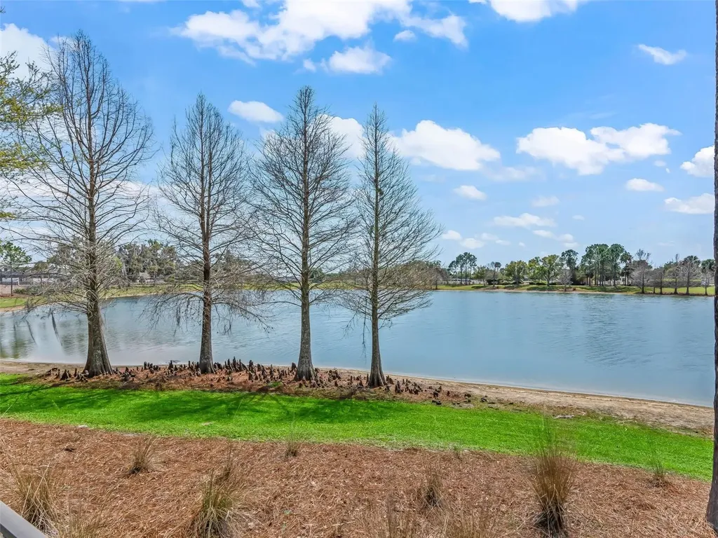 3776 E Torch Lake Drive The Villages FL 32163