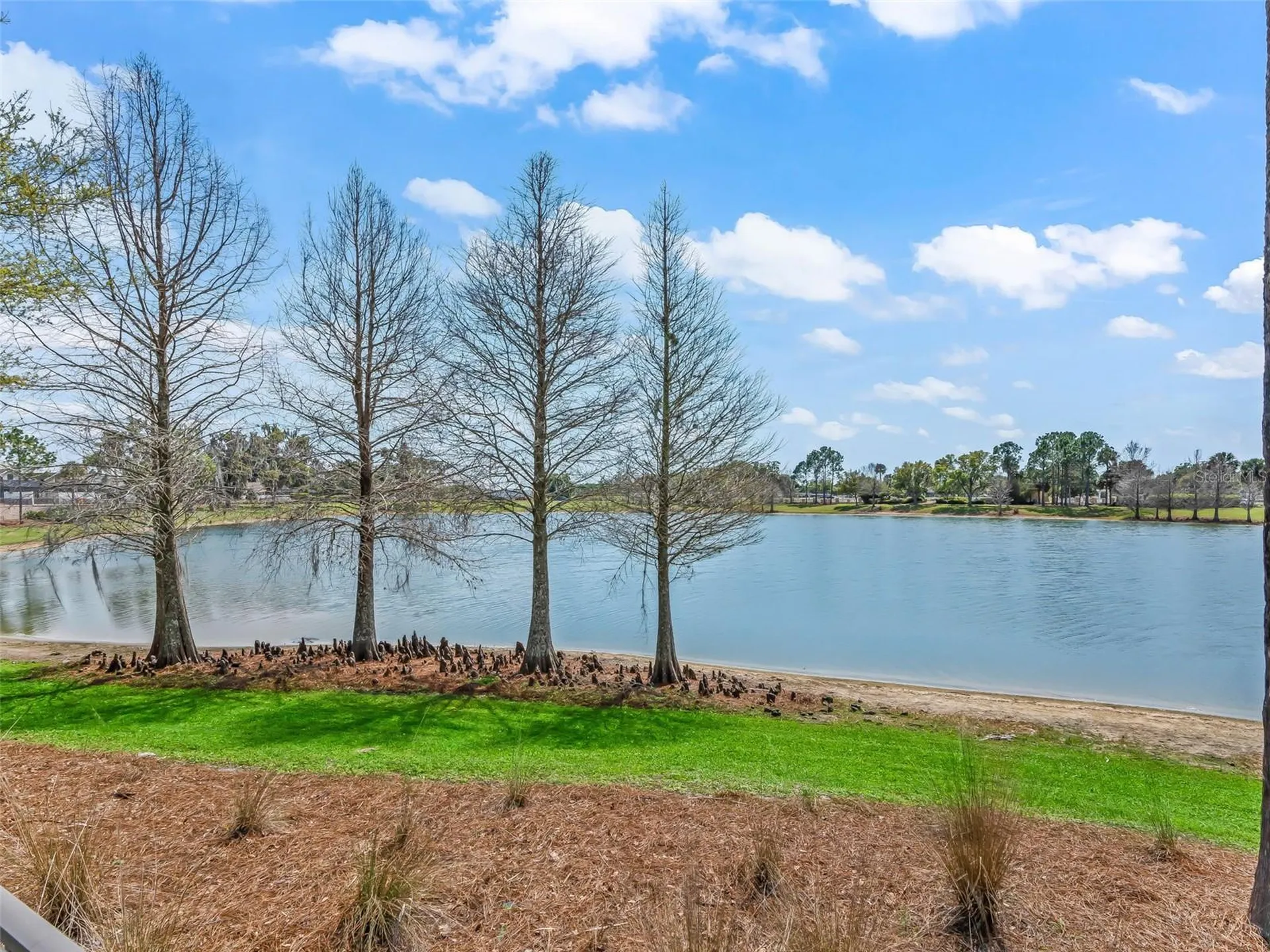 3776 E Torch Lake Drive The Villages FL 32163