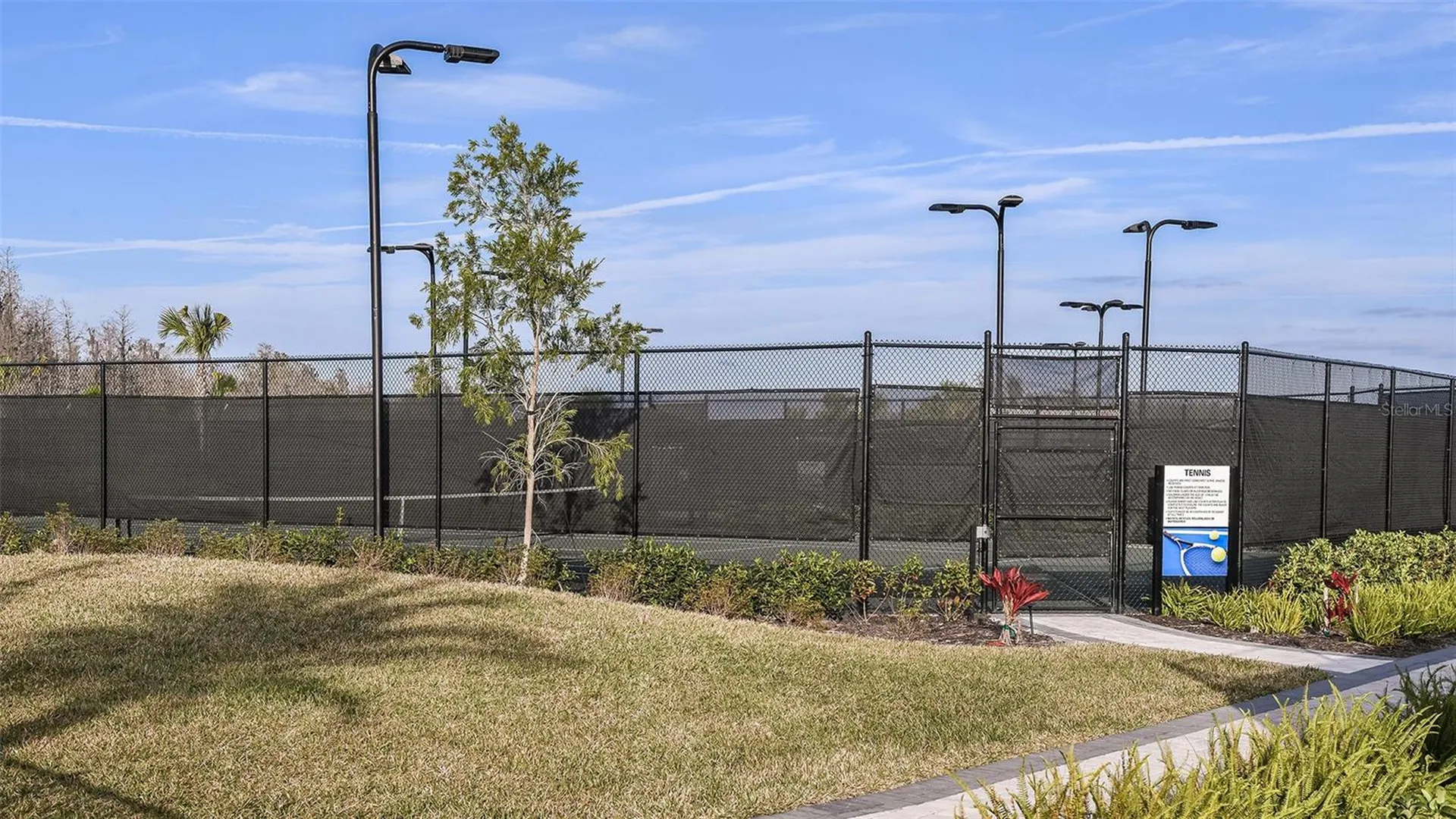 3887 Immacolata Way Wesley Chapel FL 33543