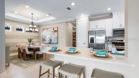 3887 Immacolata Way Wesley Chapel FL 33543