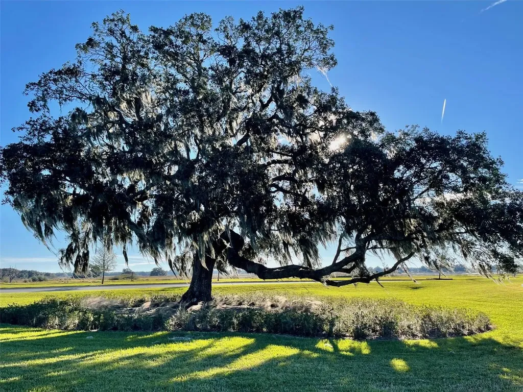 31411 Mango Fade Way San Antonio FL 33576
