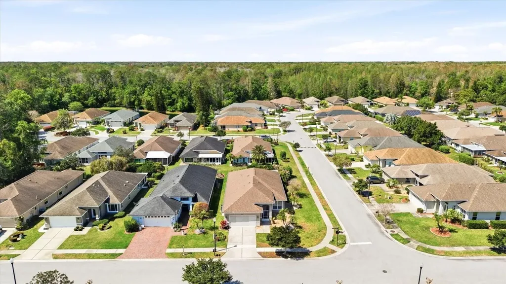 1615 Orchardgrove Avenue New Port Richey FL 34655