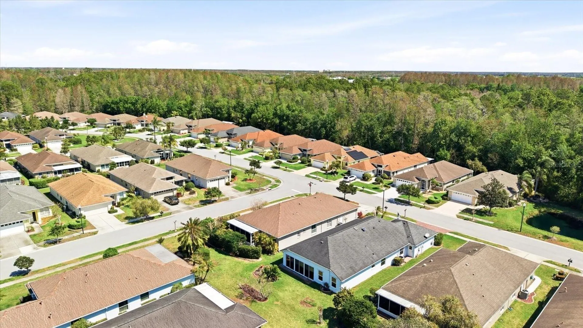 1615 Orchardgrove Avenue New Port Richey FL 34655